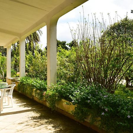 La Cecia - Casa Vacanze Nella Campagna Salentina Cavallino di Lecce Exterior foto