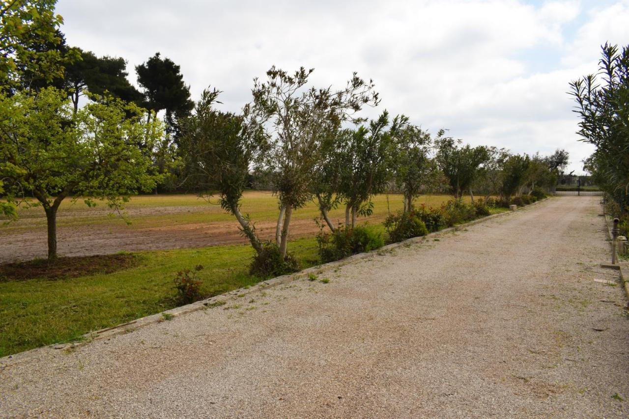 La Cecia - Casa Vacanze Nella Campagna Salentina Cavallino di Lecce Exterior foto